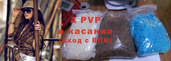 стафф Зерноград
