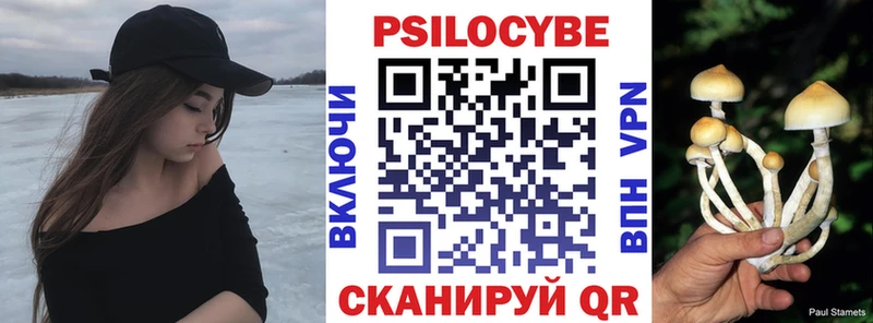 купить   Ленинградская  Галлюциногенные грибы Cubensis 